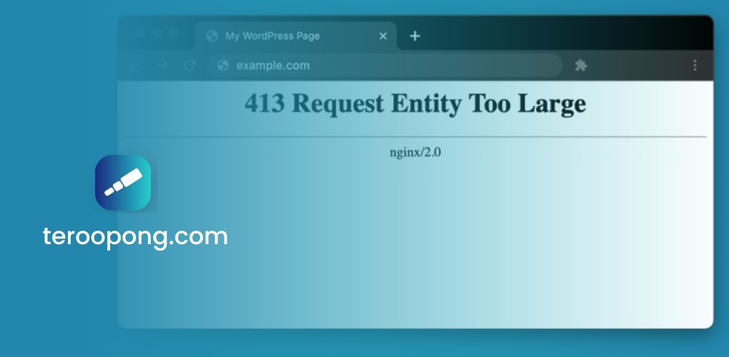 413 Request Entity Too Large Penyebab dan Cara Mengatasinya